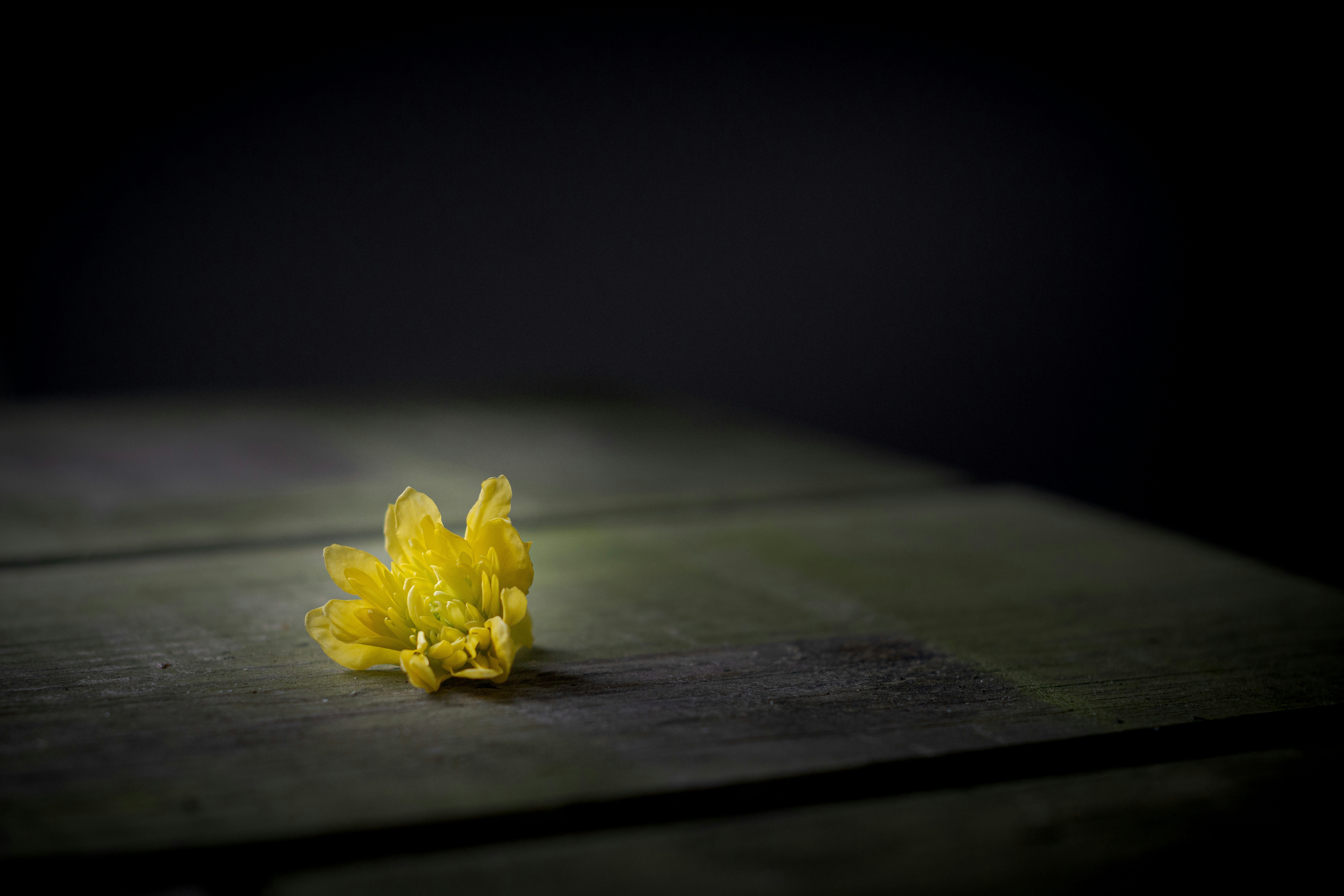 Writing Prompt #1: Last Day cover image